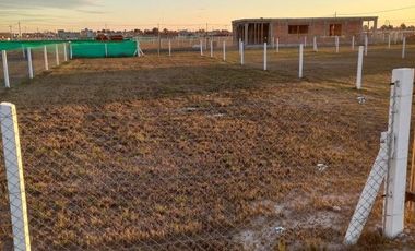 Terreno en venta - 300mts2- Domselaar