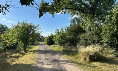 Venta  - Barrio Los Pinos - Exaltación de la Cruz