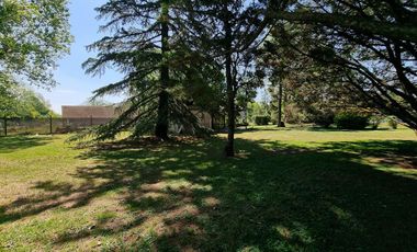 Venta  - Barrio Los Pinos - Exaltación de la Cruz