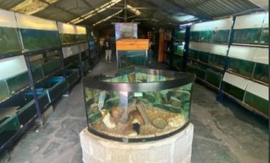 Edificio Comercial en venta - 58000mts2 - Florencio Varela