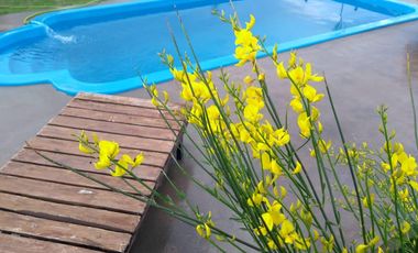 Casas en venta - 1 dormitorio 1 baño - 200mts2 - Bolivar