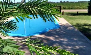 Casas en venta - 1 dormitorio 1 baño - 200mts2 - Bolivar