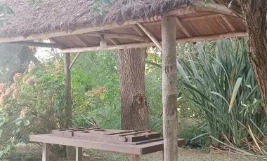 Casa en venta - 2 Dormitorios 1 Baño - 2.005Mts2 - Islas del Tigre