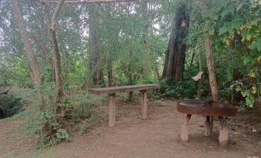 Casa en venta - 2 Dormitorios 1 Baño - 2.005Mts2 - Islas del Tigre