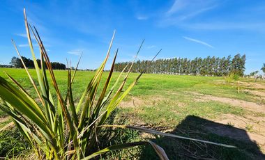 LOTE DE 300M2 - VENTA -  BARRIO ABIERTO RESINDENCIAL - GENERAL LAGOS