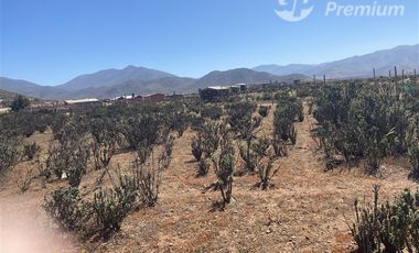 Sitio en Venta en RUTA 5 // AVENIDA FRANCISCO DE AGUIRRE