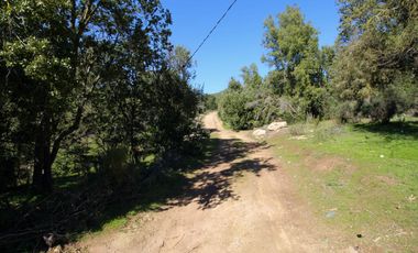 Vivabien Vende ¡Oasis de paz en Colliguay!