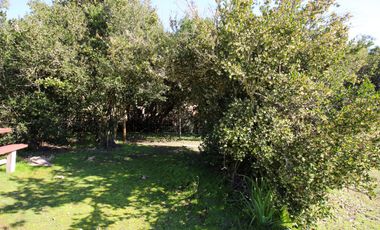 Vivabien Vende ¡Oasis de paz en Colliguay!