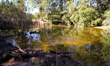 Vivabien Vende ¡Oasis de paz en Colliguay!