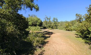 Vivabien Vende ¡Oasis de paz en Colliguay!