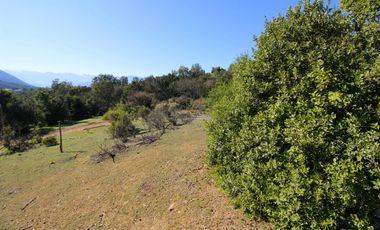 Vivabien Vende ¡Oasis de paz en Colliguay!