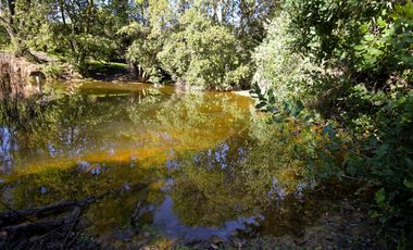 Vivabien Vende ¡Oasis de paz en Colliguay!