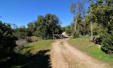 Vivabien Vende ¡Oasis de paz en Colliguay!
