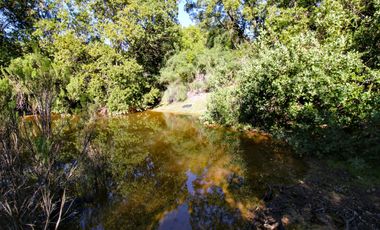 Vivabien Vende ¡Oasis de paz en Colliguay!
