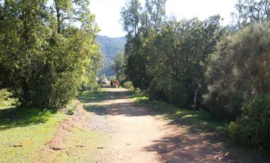 Vivabien Vende ¡Oasis de paz en Colliguay!