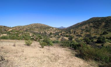 Venta Campo en Colliguay Quilpue