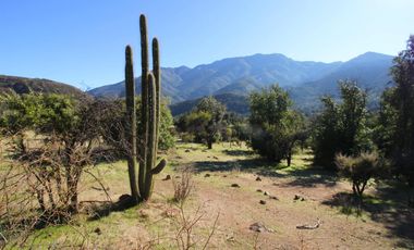 Venta Campo en Colliguay Quilpue