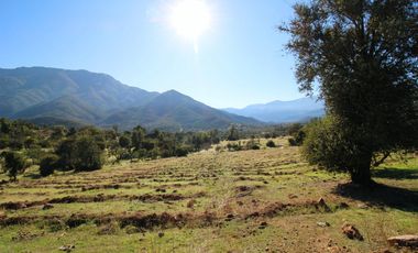 Venta Campo en Colliguay Quilpue
