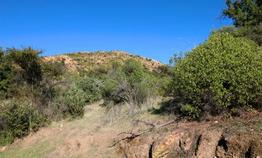 Venta Campo en Colliguay Quilpue