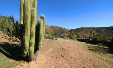 Venta Campo en Colliguay Quilpue
