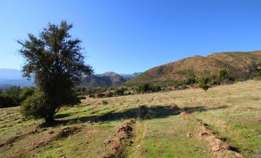Venta Campo en Colliguay Quilpue