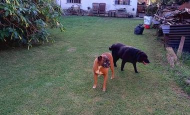 CASA TRES AMBIENTES EN JOSE MARMOL