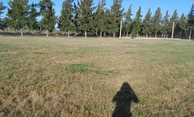 Terreno en venta - 2.370mts2 - Campos de Roca II, Coronel Brandsen