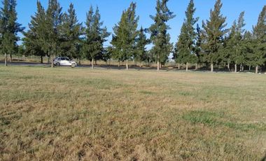 Terreno en venta - 2.370mts2 - Campos de Roca II, Coronel Brandsen
