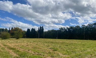 LOTE VENTA EN EL BARRIO DE LA FLOR