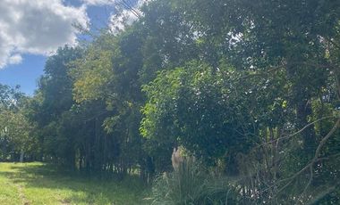 LOTE VENTA EN EL BARRIO DE LA FLOR