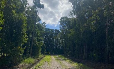 LOTE VENTA EN EL BARRIO DE LA FLOR