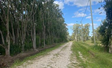 LOTE VENTA EN EL BARRIO DE LA FLOR