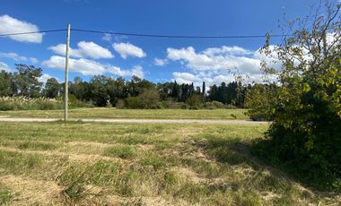 LOTE VENTA EN EL BARRIO DE LA FLOR