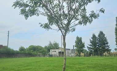 Terreno en venta - 800mts2 totales - San Lucas