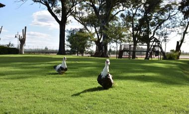 Terreno en venta - 800mts2 totales - San Lucas