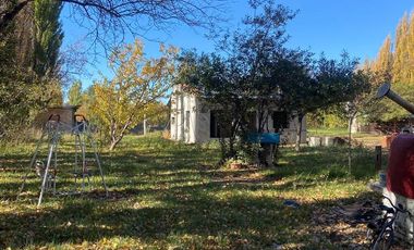 Chacra en  Cipolletti