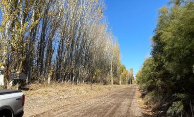 Chacra en  Cipolletti