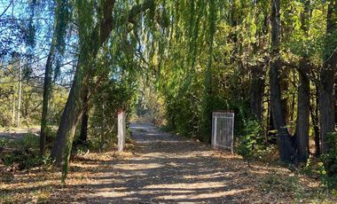 Chacra en  Cipolletti