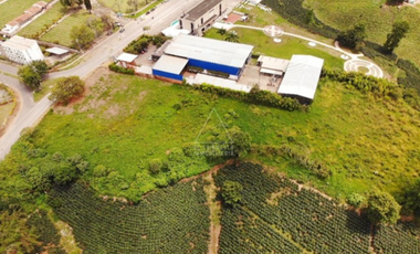 LOTE INDUSTRIAL ARMENIA 13000 ARA
