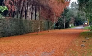 Casa en venta  - 2 Dormitorios 2 Baños - 750Mts2 - Berazategui