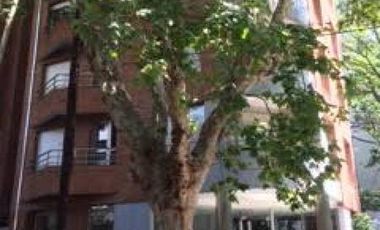 Excelente departamento 2 ambientes en alquiler en Olivos