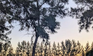 Terreno venta - 1.000mts2 - Lagos del Norte, Tigre