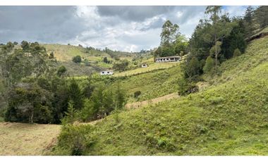 Finca en venta en guarne vereda la enea 42.500m2