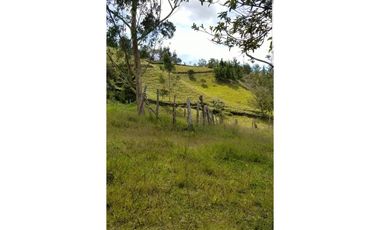 Finca en venta en guarne vereda la enea 42.500m2