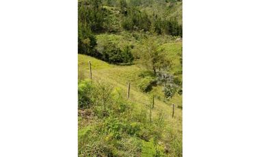 Finca en venta en guarne vereda la enea 42.500m2