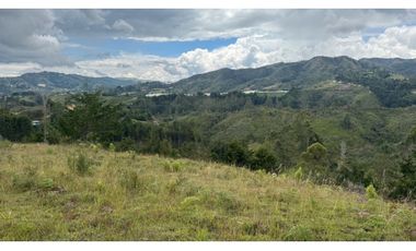 Finca en venta en guarne vereda la enea 42.500m2