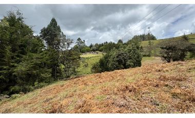 Finca en venta en guarne vereda la enea 42.500m2