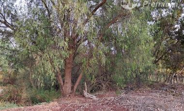 Casa en Venta en Calle porvenir