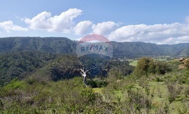 Parcelas con Espectacular Vista al Mar y al Valle