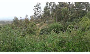 GRAN OPORTUNIDAD PARCELA DE 11,9 HECTAREAS